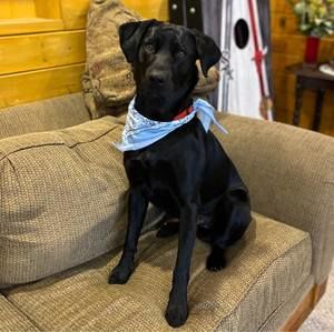 Meet your Posher, Theresa